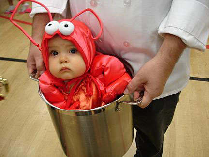 Baby Lobster Baby Lobster
