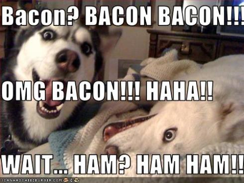OMG BACON!!!!!!!!!!!!!