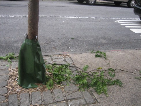 Hurricane Casualties